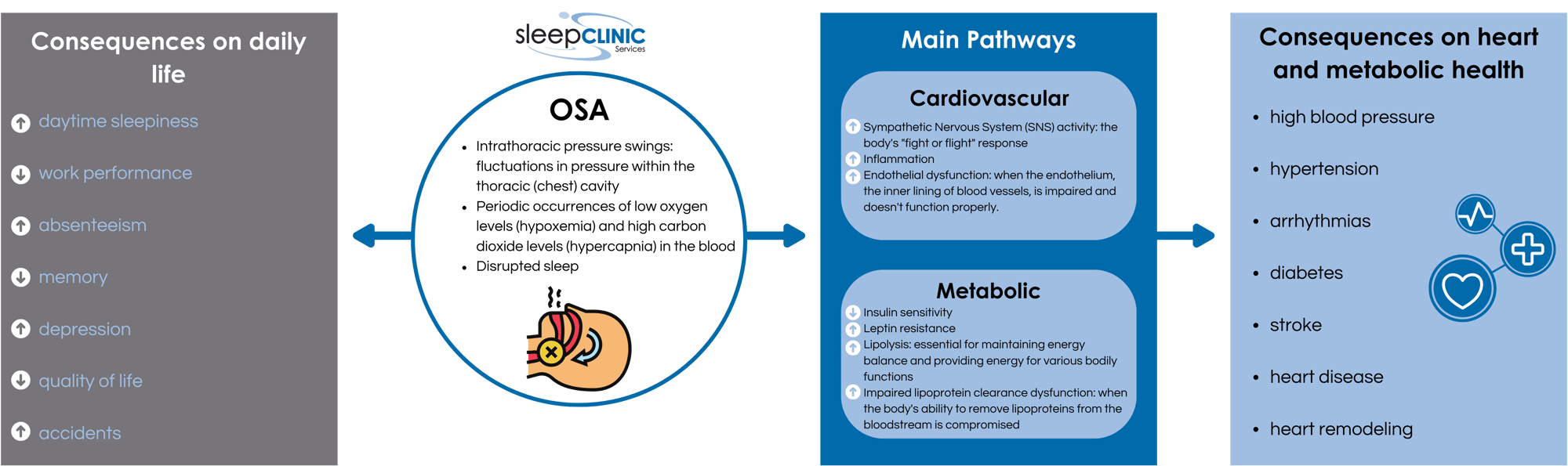 OSA cardiovascular health